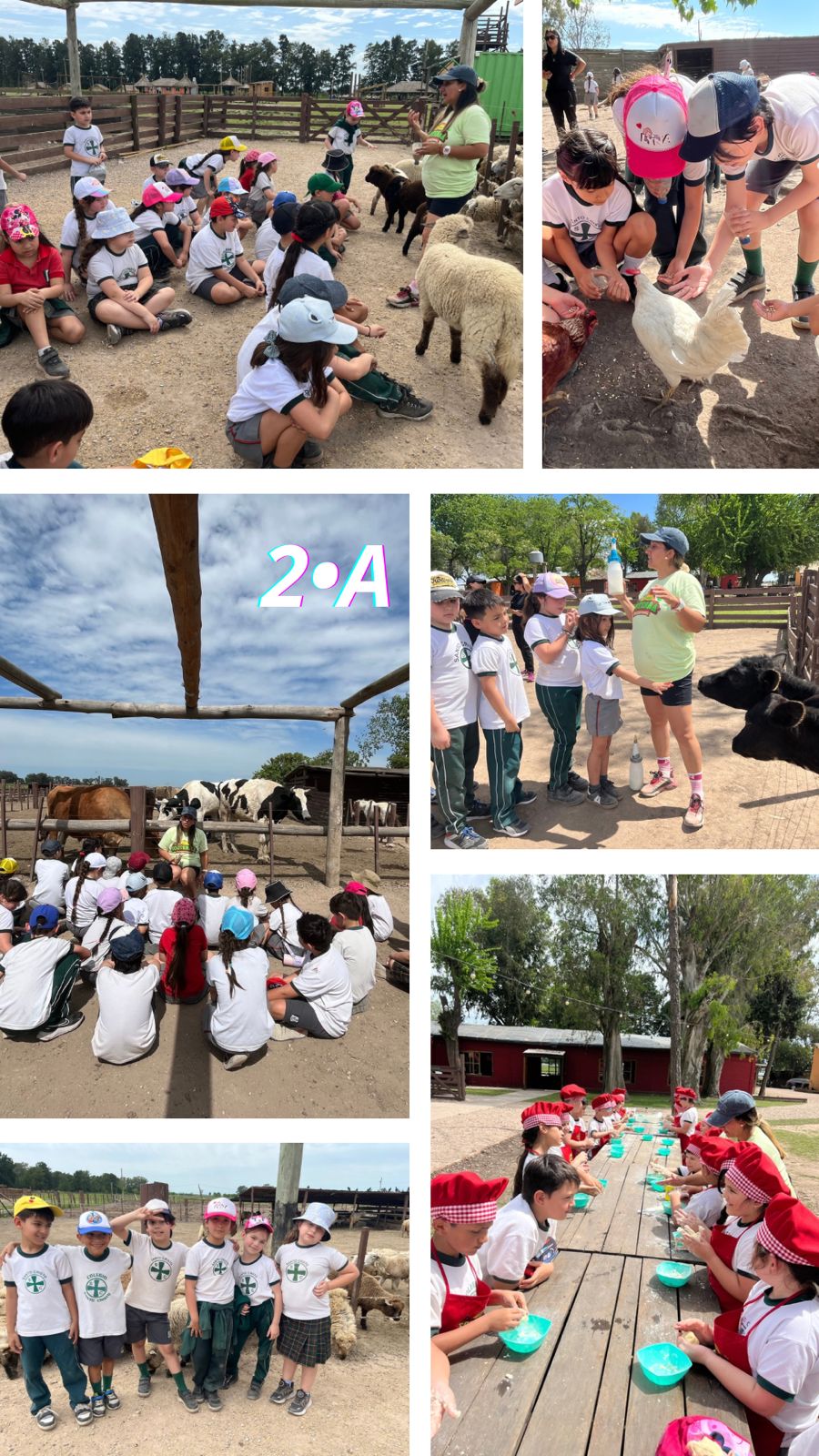 SALIDAS EDUCATIVAS DE 2° A Y 2° C